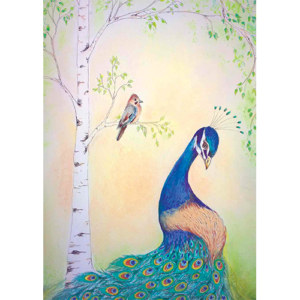 A3 poster pauw en gaai