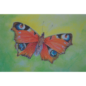 ansichtkaart dagpauwoog vlinder