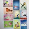 setje van 10 ansichtkaarten vogels