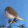 VERKOCHT one of a kind vogeltje van vilt "soft embrace" - Afbeelding 4