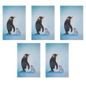 set van 5 wenskaarten pinguïns