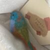 VERKOCHT one of a kind vogeltje van vilt "forest friend" - Afbeelding 3