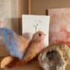 one of a kind vogeltje van vilt "wisdom" - Afbeelding 2