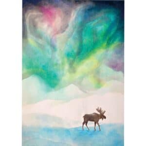 ansichtkaart noorderlicht