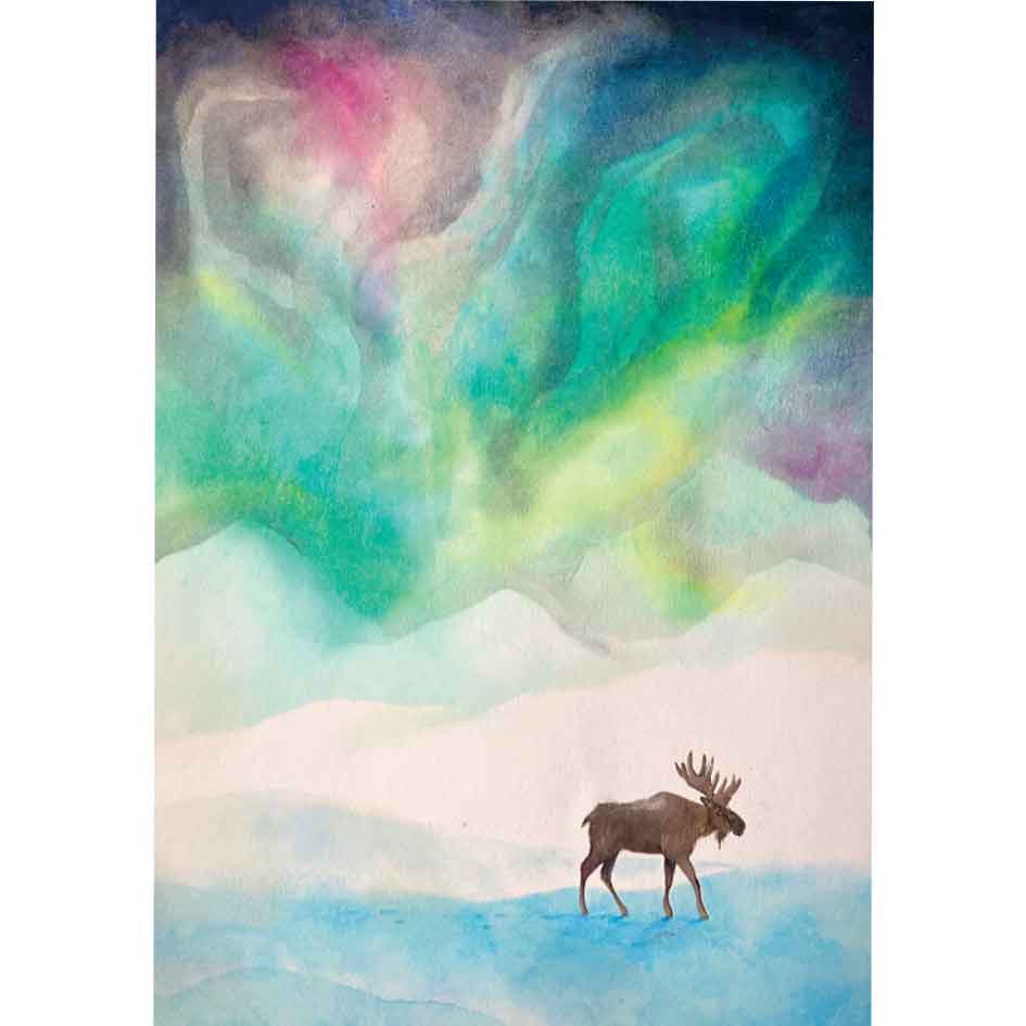 ansichtkaart noorderlicht