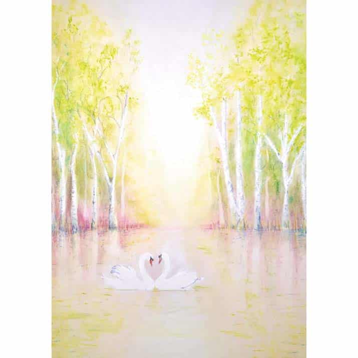 A6 ansichtkaart zwanen